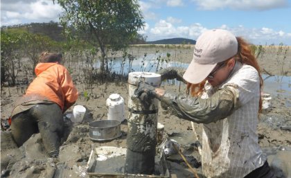 Sampling invertebrates within deep mudflats in Gladstone, Australia. (Credit: Chi-Yeung Choi)